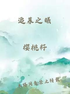 追暮之曦