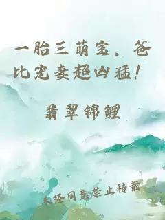 一胎三萌宝，爸比宠妻超凶猛！